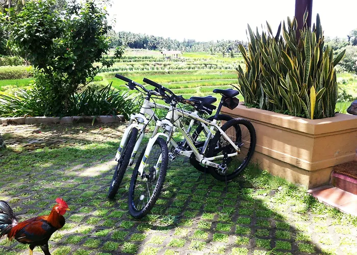 Villa Semana & Ubud (Bali)